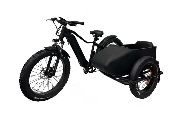 Electric bike with sidecar