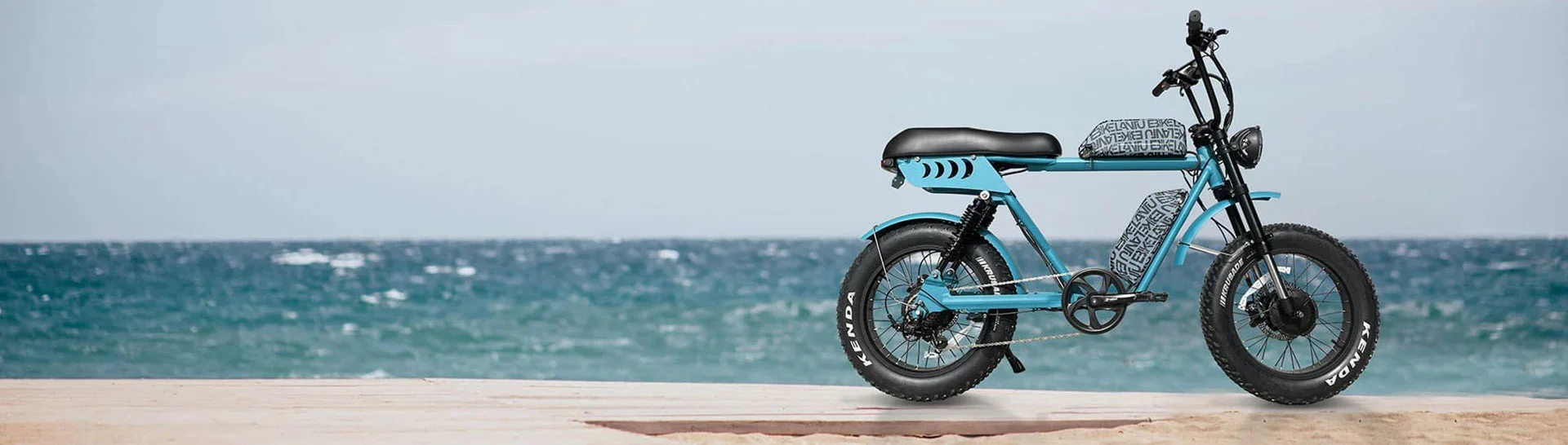 Fat tire electric bike
