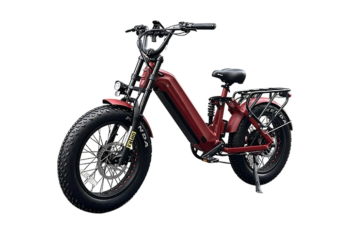 500W Ebike - High Speed Electric Bike for Efficient Rides