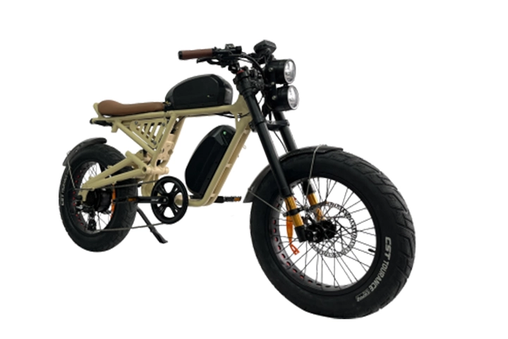 Fat Tire Moped-Style E-Bike