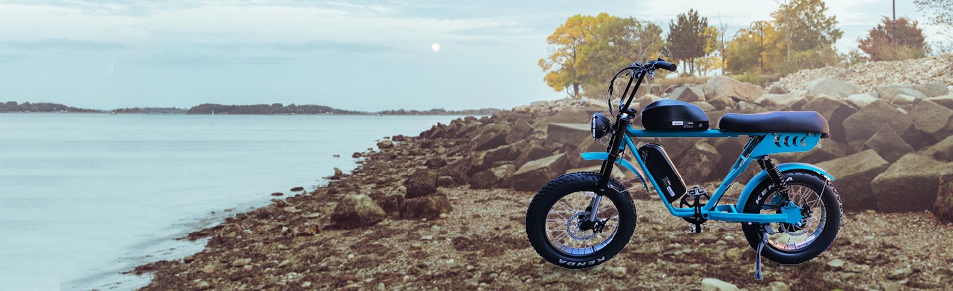 Moped Style Dual Battery Fat Tire Electric Bike