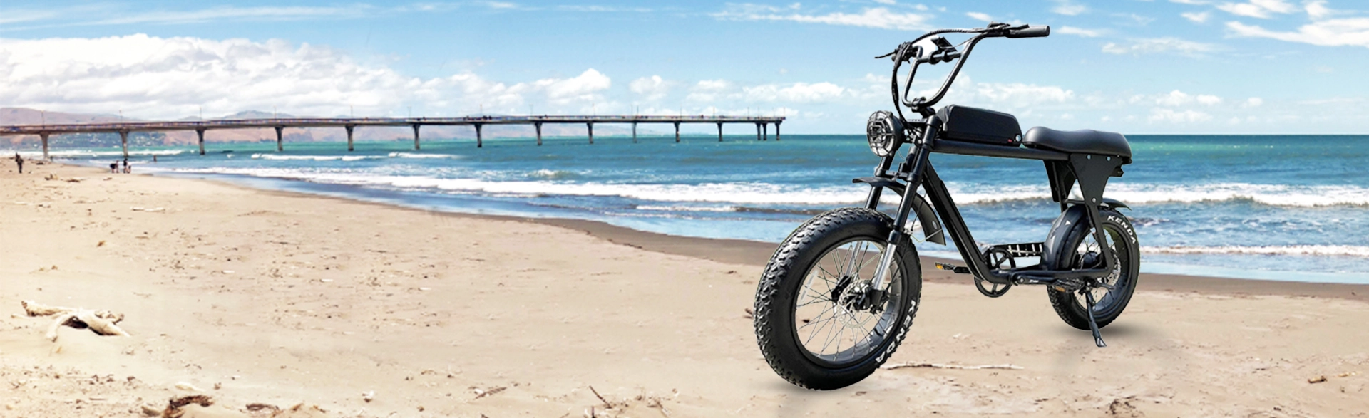 20 Inch E-Bike: Moped Style Electric Bike