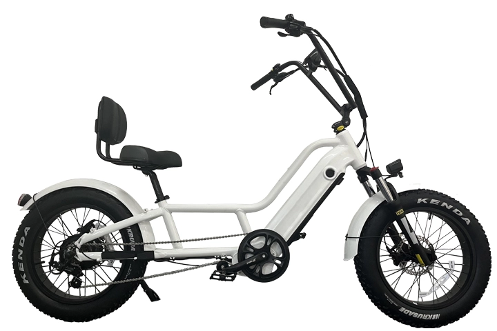 Recumbent Ebike: Electric Comfort Ride