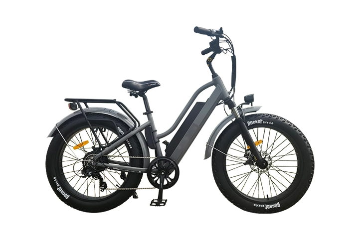 20 Inch Fat Tire Electric Bike