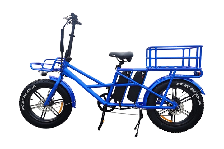 Dual Battery Electric Bike-3.webp