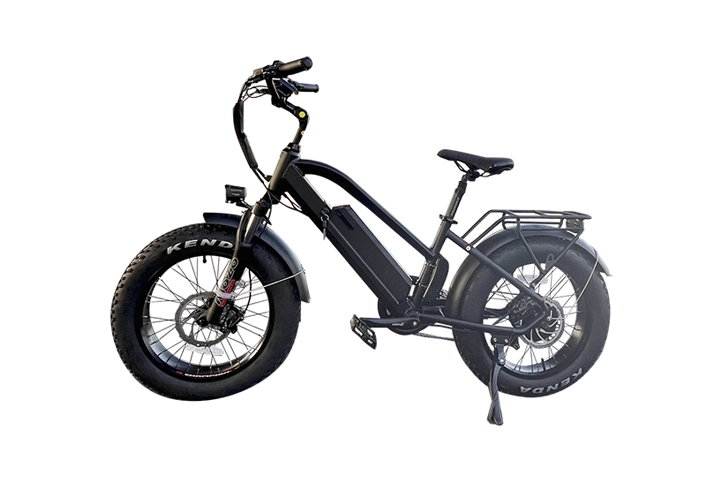 20 Fat Tire Snow Electric Bike - Powerful E-Bike