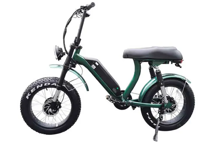 Dual Motor Ebike: Powerful Fat Tire Electric Bike
