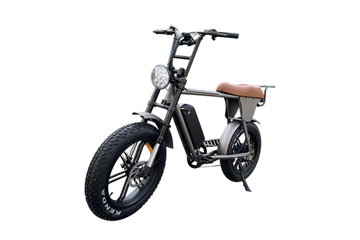 20 Inch E-Bike: Moped Style Electric Bike