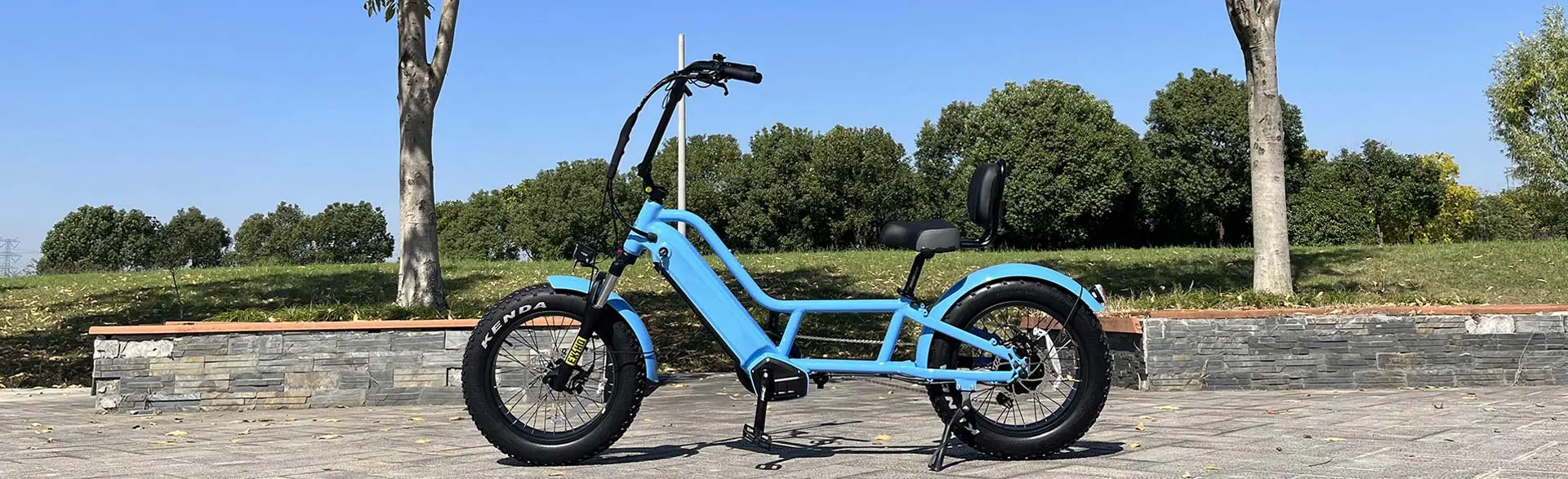 Step Through Ebike: Electric Recumbent Bike