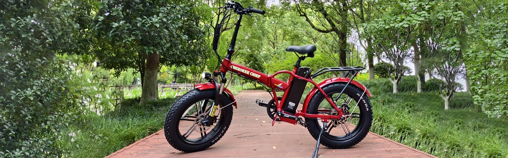 Foldable Fat Tire eBike - Portable Electric Bicycle