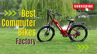 China's leading electric bike manufacturer-Lantu ebike factory|26 inch electric city bike