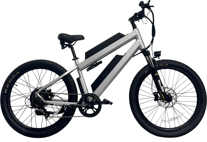 Dual Battery Electric Mountain Ebike (1).png