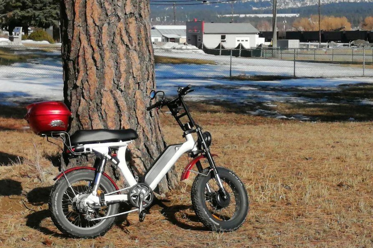 E-Bike helps maintain exercise and health.png