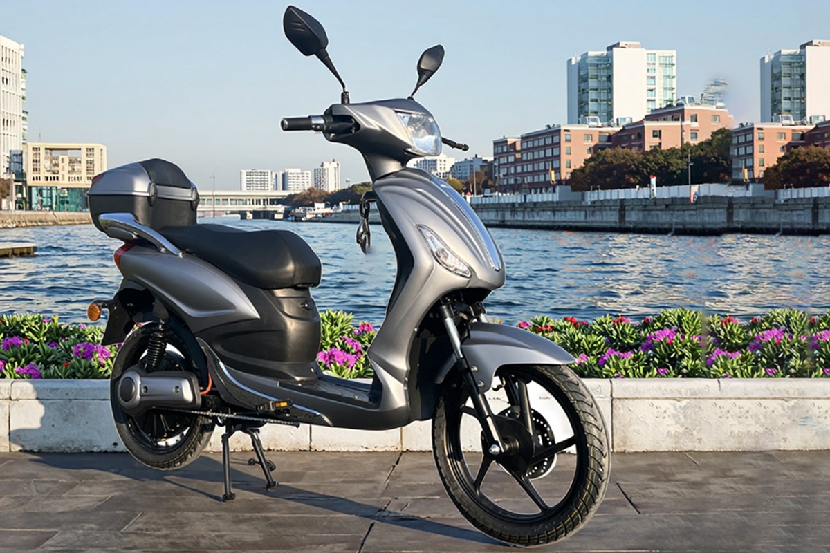 electric scooter.png