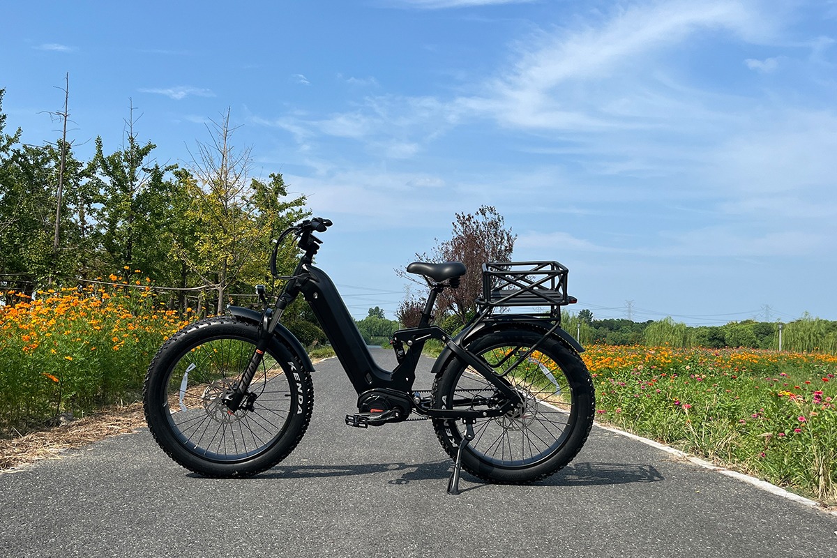 electric bicycle.png