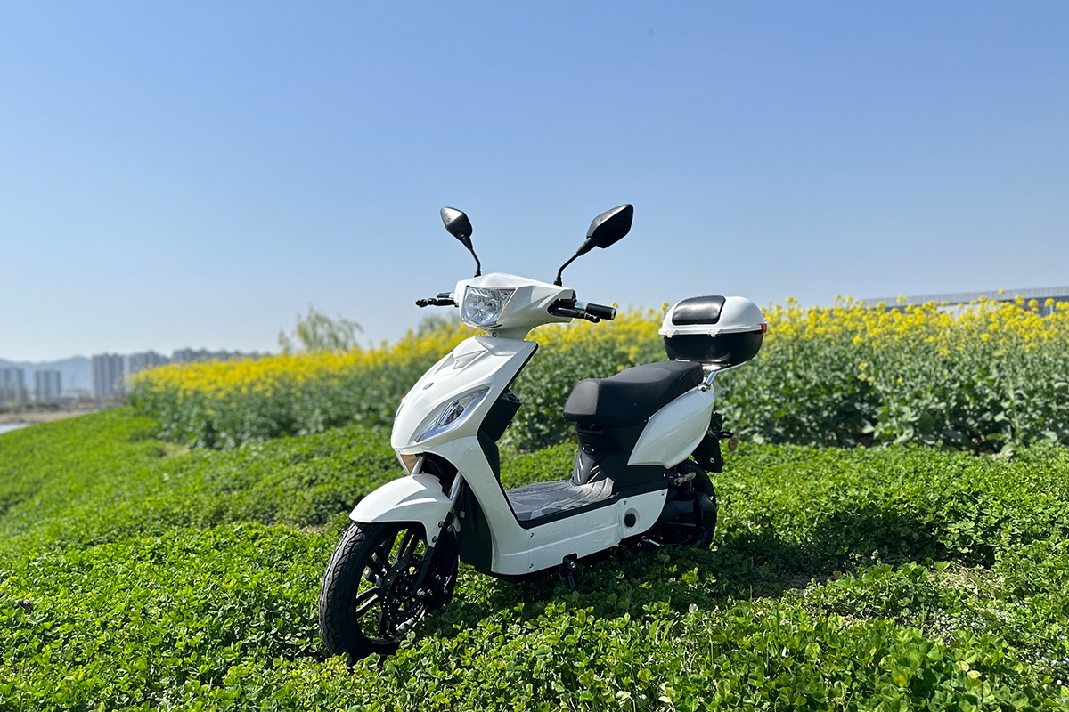 electric bikes-2.png