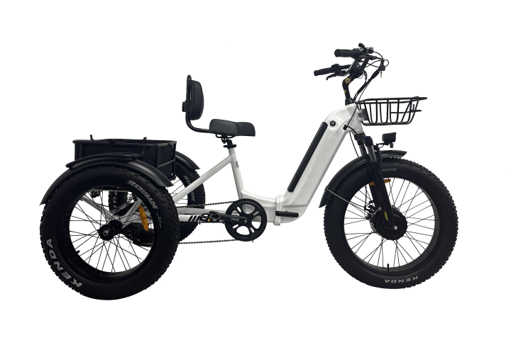  Three wheel fat tire Cargo electric bicycle  (1).png