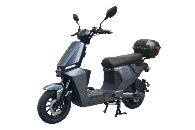 48V 1000W Electric Moped