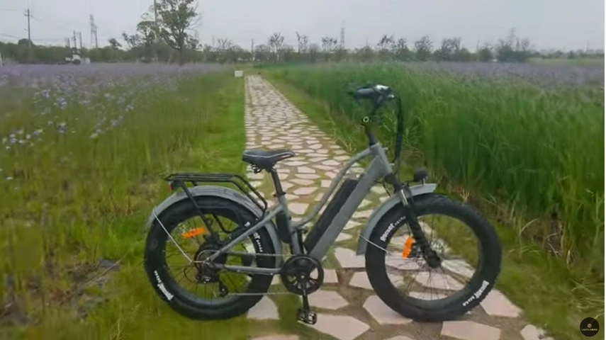 24 Inch Step Through Fat Ebikes