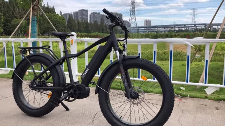Big Power 1000W Fat Tire Ebike with Central Motor