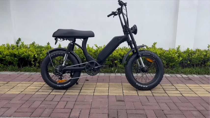 China Factory 750W Step Thru Electric Fat Bike for Women