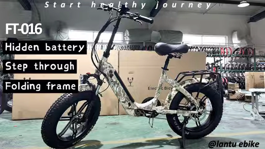 China Supplier OEM New Color Step Through Electric Folding Fat Tire Bike