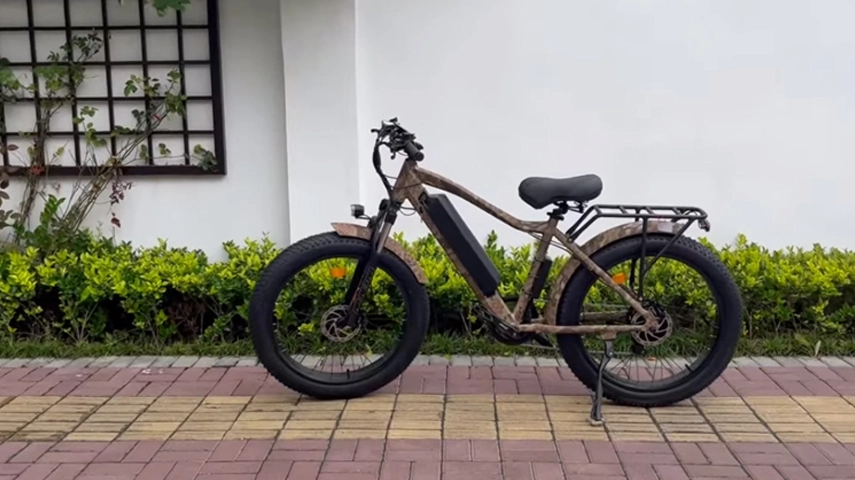 China Wholesale 48V 750W Motor Fat Tire Electric Mountain Bike