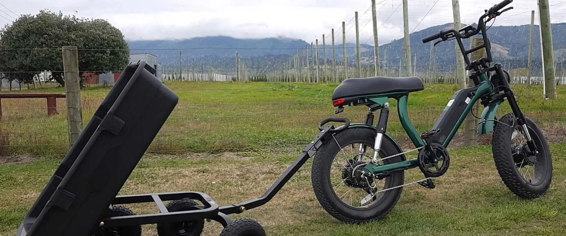 Dual Motor Fat Tire Ebike