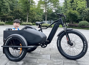 Customized Electric Bike: Show Your Unique Style and Taste