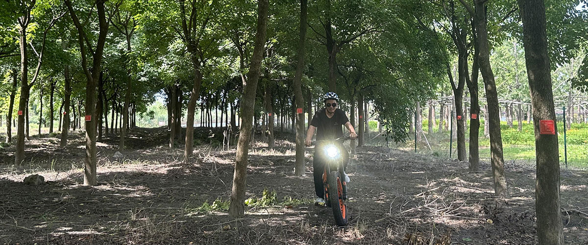 Moped for Sale with Pedals Moped for Sale with Pedals