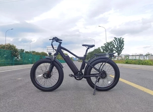 Les avantages de faire du Cruiser Ebike