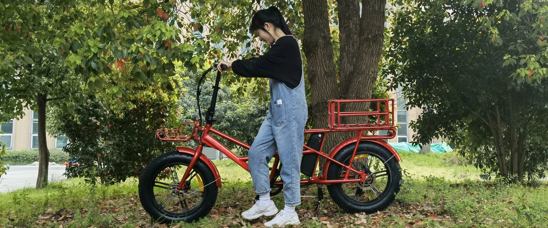 Vélo électrique à double batterie