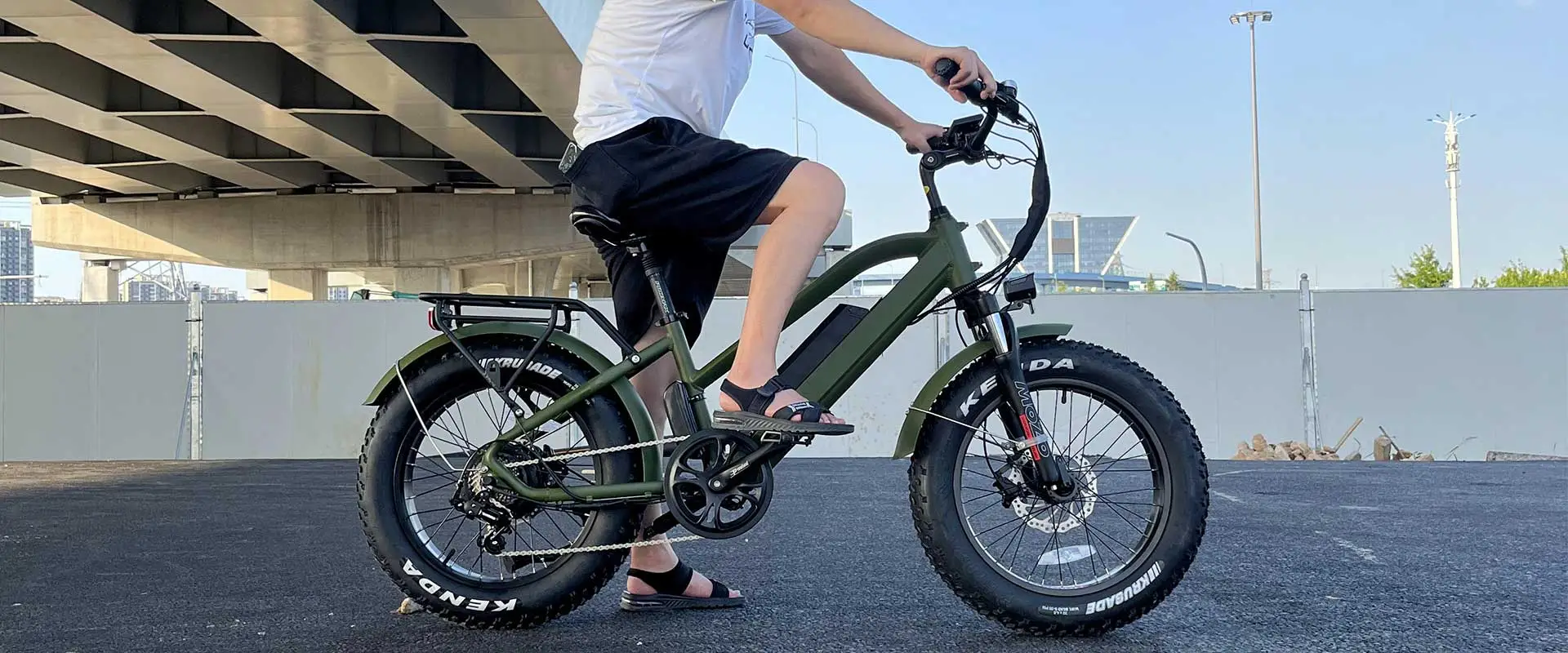 20 pouces Fat Pneu Vélo Électrique