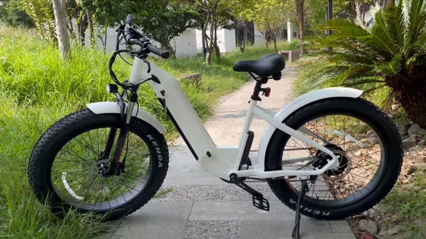 Meilleur pas à travers le vélo de graisse électrique de la Chine pour dames