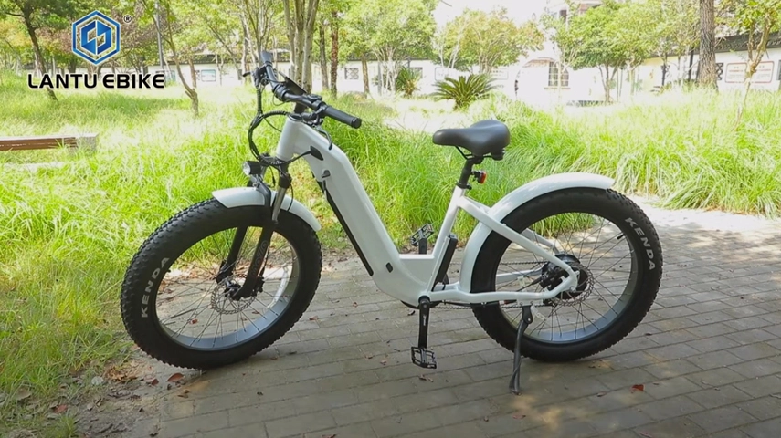 Étape d'usine OEM à travers le pneu de graisse vélo de montagne électrique pour les femmes