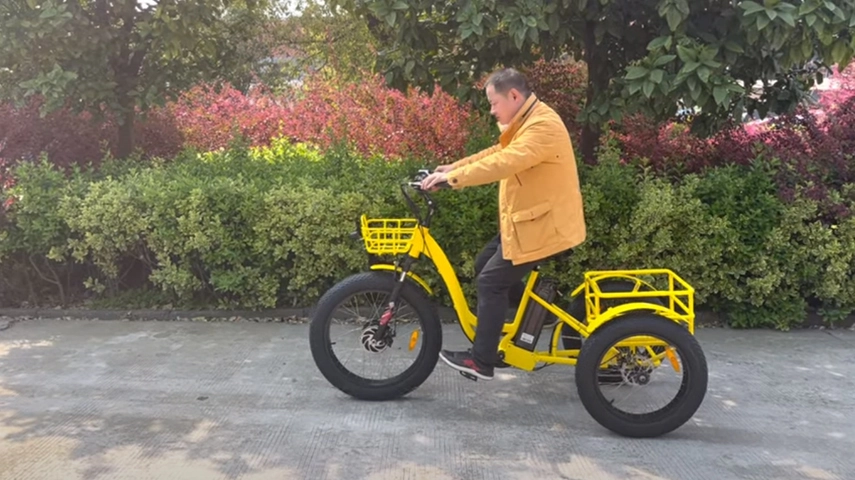 Chine Meilleur Tricycle électrique Fabricant