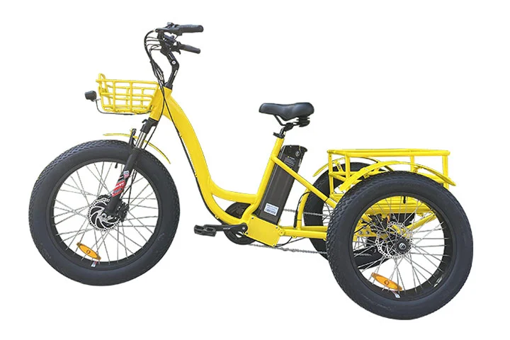 Trike électrique cargo