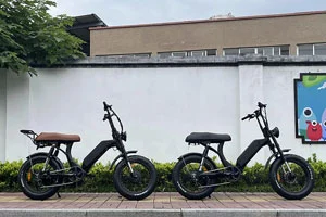 Qu'est-ce que la batterie amovible Ebike?