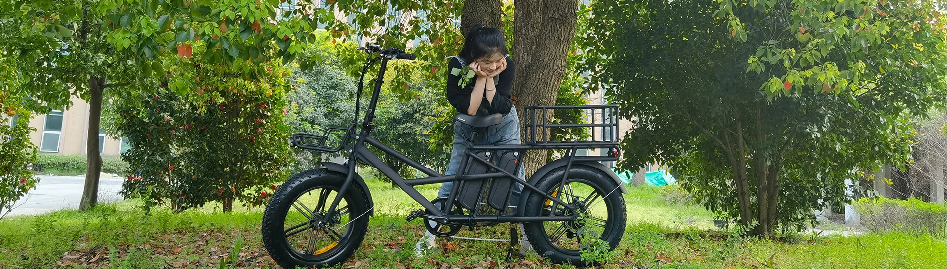 Vélo cargo électrique