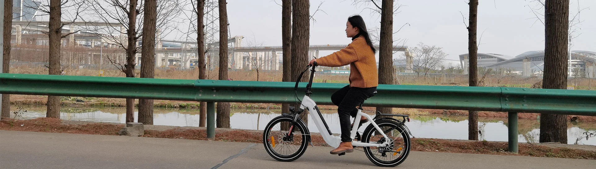 Vélo électrique de ville