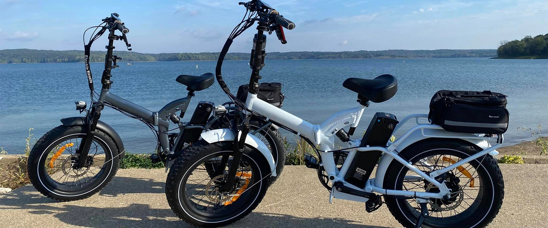 Plein pneu de graisse de suspension Ebike