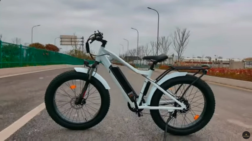 Fat Pneu Ebike personnalisé