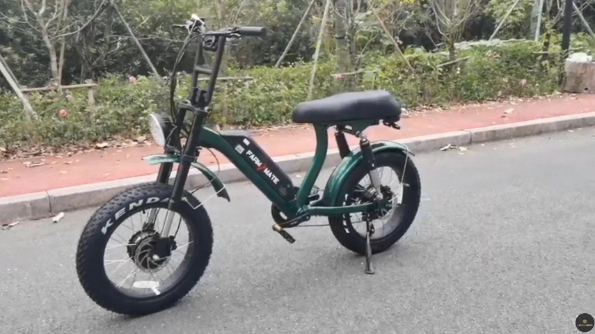 Double moteur gros pneu Ebike