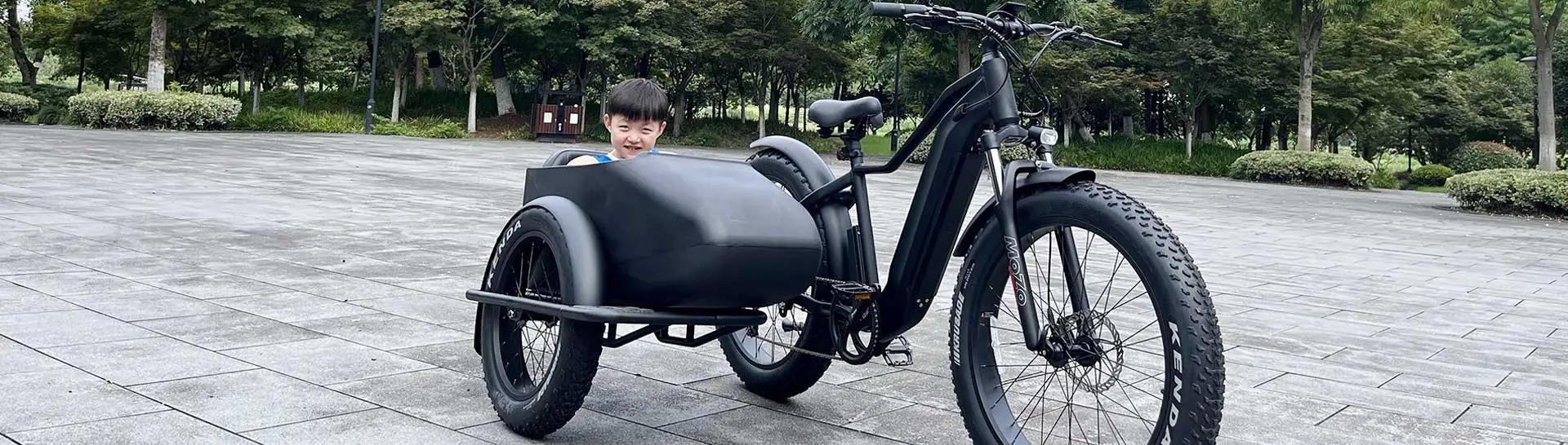 Vélo Électrique Avec Sidecar